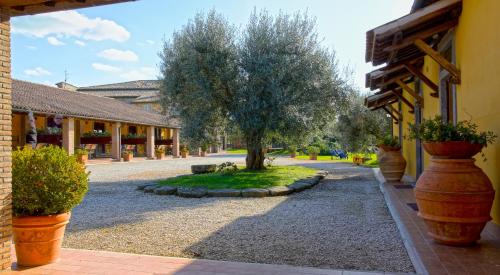  Agriturismo Arlena in Bolsena