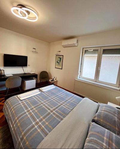 Deluxe One-Bedroom Apartment