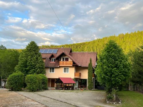 Viesnīcas āriene, Pensiunea Paradisul Naturii in Dejani