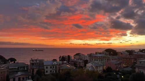 Romantic garden sea view Nervi, Genua
