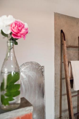 Dalmore Guest Farm Dalmore Guest Farm