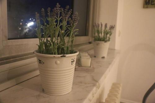 Schöne 2,5 Raum Wohnung Nähe Veltinsarena