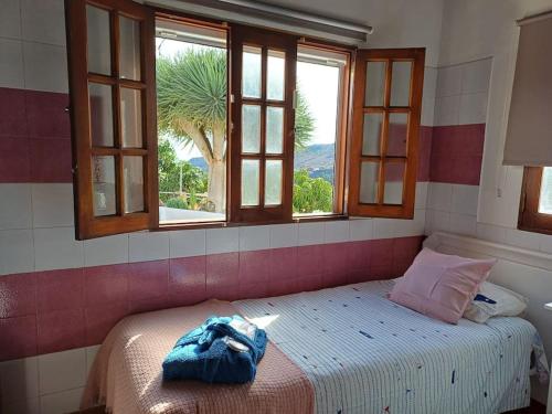 DRAGO 100, quiet and friendly, Telde (foto 3)