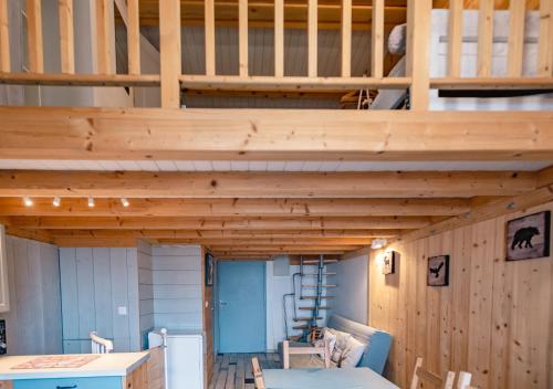 Rare, Triplex 12 personnes, accès direct ski aux pieds, Les Deux Alpes (foto 3)