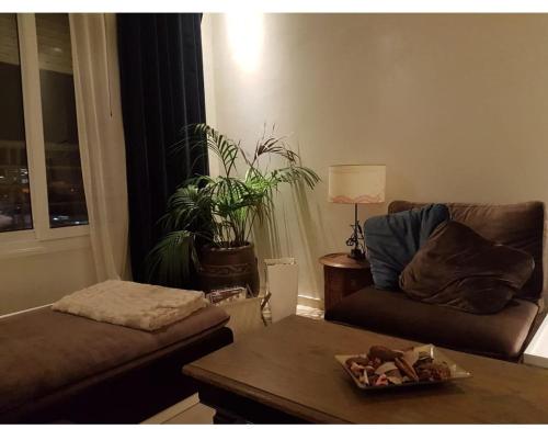 Appartement haut standing, Casablanca (fotografie 4)