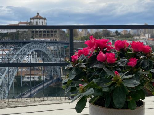 Casa Dona Olga River View, Porto (fotografie 7)