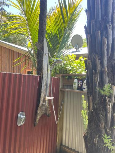 Punga Cabin, Cooks Beach (foto 7)