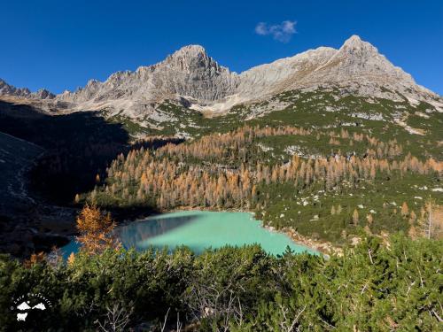 Appartamento Sorapiss in Lorensago Di Kadore