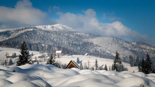 Pension Iara - image 10