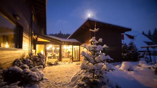 Pension Iara - image 11