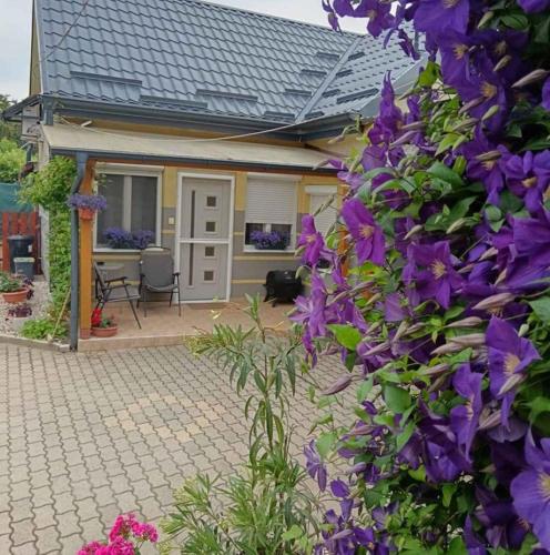Exterior view, Holiday home in Sagvar - Sudtransdanubien 53171 in Sagvar