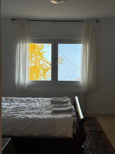 Couples Nest in Sarajevo