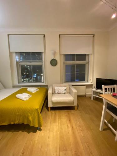 Bright and Cozy Entire Flat Near Euston Station and UCL Hospital, London (photo 10)