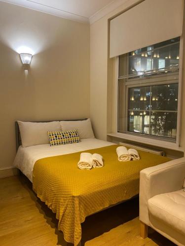 Bright and Cozy Entire Flat Near Euston Station and UCL Hospital, London (photo 11)