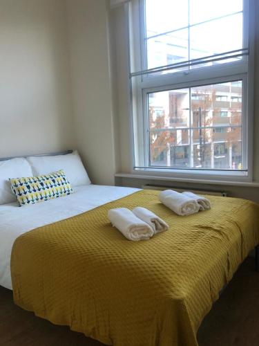 Bright and Cozy Entire Flat Near Euston Station and UCL Hospital, Londýn