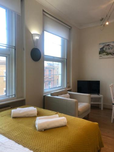 Bright and Cozy Entire Flat Near Euston Station and UCL Hospital, London (photo 8)