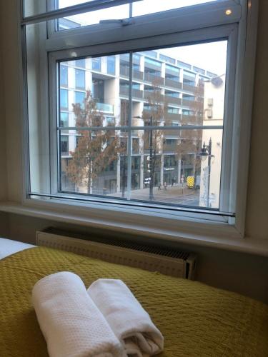 Bright and Cozy Entire Flat Near Euston Station and UCL Hospital, London (photo 3)