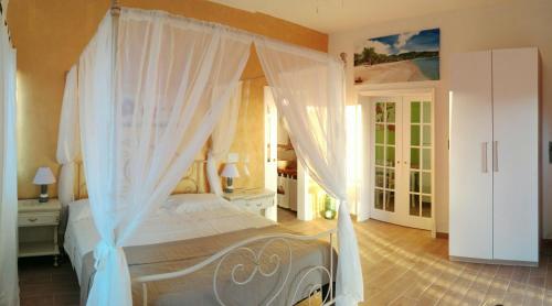 Donkey on the Beach in Cobbs Cross