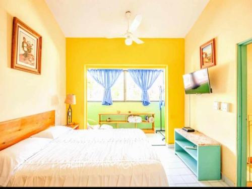 Nice apartment equipped with 2 bedrooms very close to the Malecon and the beach in La Paz, Mexico