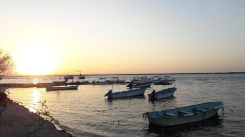 Nice apartment equipped with 2 bedrooms very close to the Malecon and the beach in La Paz, Mexico