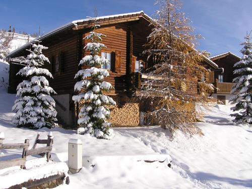 Ferienhaus Blommen - Falkertsee, Pension in Patergassen bei Zedlitzdorf