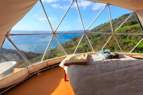 Escarpment Domes in เปคาคาริกิ