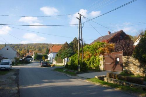 Vadszőlő Vendégház - image 2