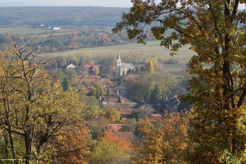 Vadszőlő Vendégház - image 3
