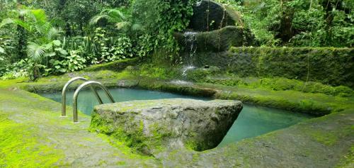 Jungle Retreat Wayanad