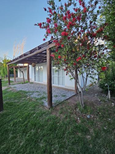 One-Bedroom House image 1