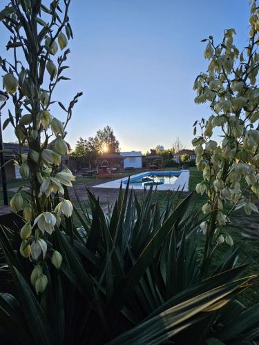 Complejo de Cabañas CABLE A TIERRA Cabaña Cabernet