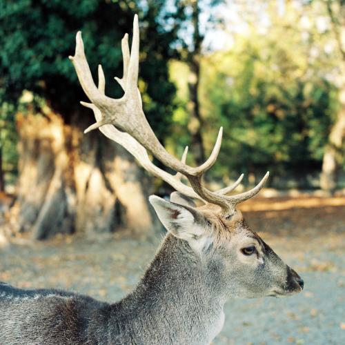 罗泊塔湖度假村Spa酒店