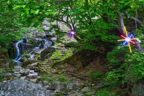 Forest Squirrel Pension Forest Squirrel Pension