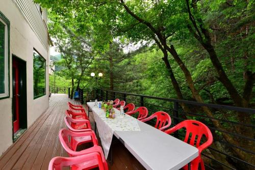 Forest Squirrel Pension Forest Squirrel Pension