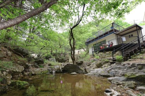 Forest Squirrel Pension Forest Squirrel Pension