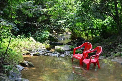 Forest Squirrel Pension Forest Squirrel Pension