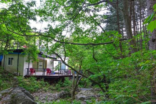 Forest Squirrel Pension Forest Squirrel Pension