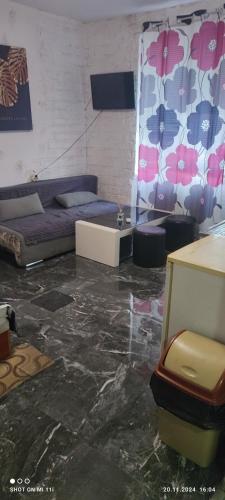 Боксониера, Razgrad (photo 4)