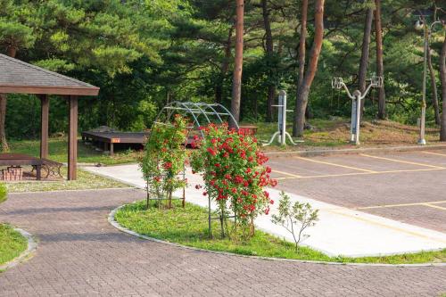 Gangneung Yasaenghwa Maeul in Seongsan-myeon