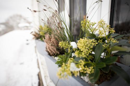 皮尔罗伊贝赫尔B&B酒店 皮尔罗伊贝赫尔B&B酒店