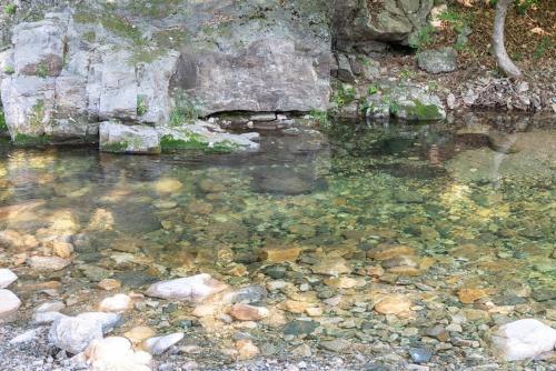 Yangpyeong Green Clover Yangpyeong Green Clover