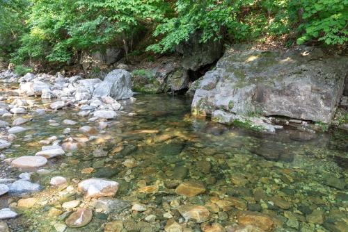 Yangpyeong Green Clover Yangpyeong Green Clover