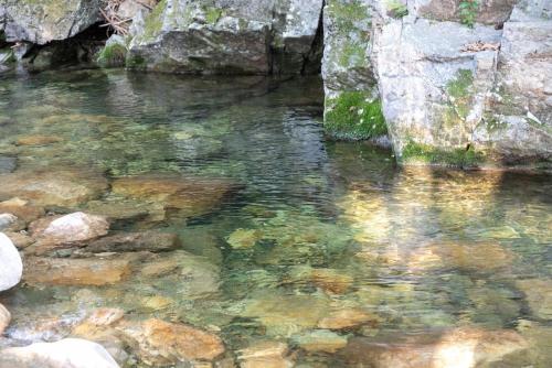 Yangpyeong Green Clover Yangpyeong Green Clover