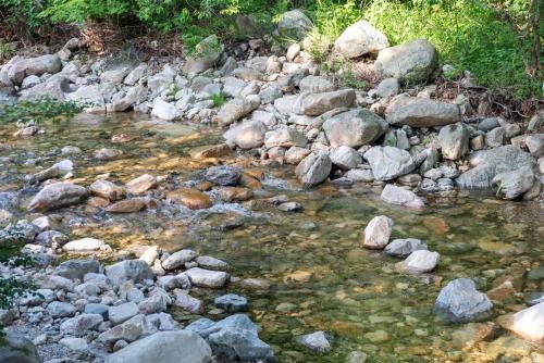 Yangpyeong Green Clover Yangpyeong Green Clover