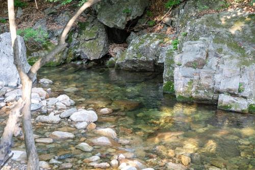 Yangpyeong Green Clover Yangpyeong Green Clover