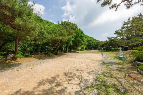 Yangpyeong Green Clover Yangpyeong Green Clover