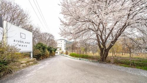 Gapyeong River Wave Pool Villa Gapyeong River Wave Pool Villa