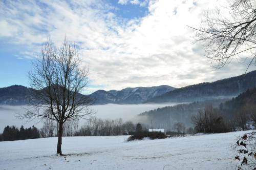 Apart Dirndltal - image 10