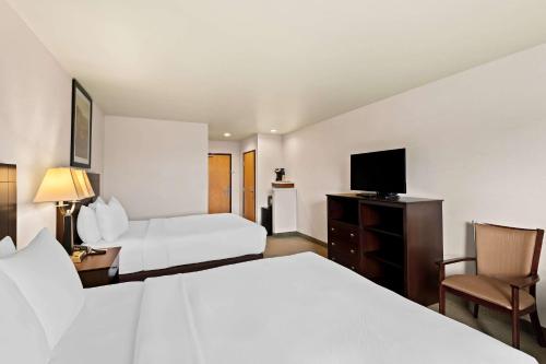 Comfort Inn & Suites Creswell - image 11