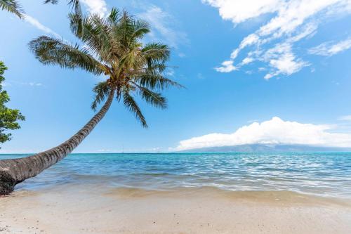 ที่เที่ยวใกล้ที่พัก, Fare Mehiata 3, free canoe in ฟาเรฮัว